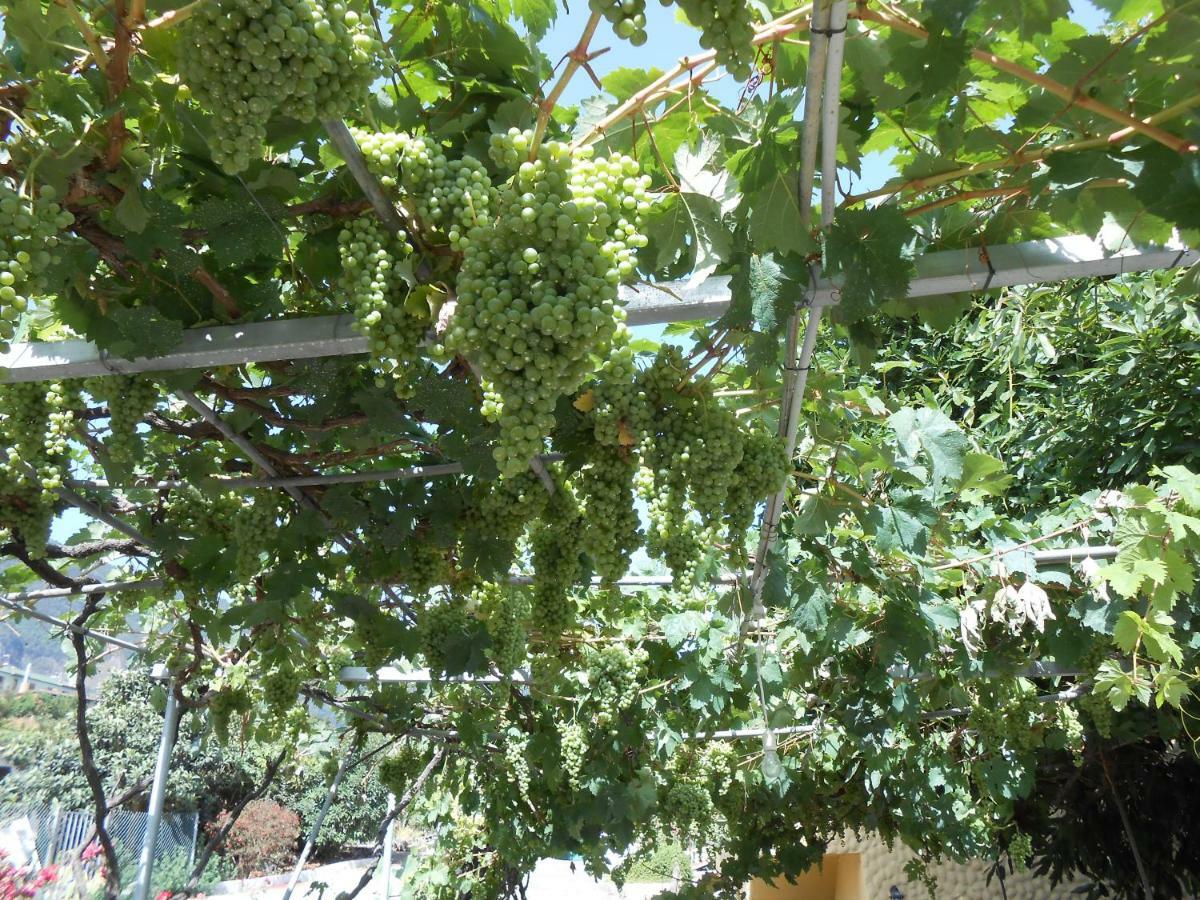 Casitas Las Uvas Y Las Vinas Los Realejos Dış mekan fotoğraf