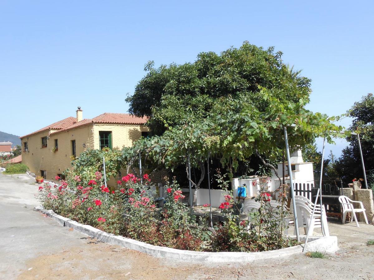 Casitas Las Uvas Y Las Vinas Los Realejos Dış mekan fotoğraf