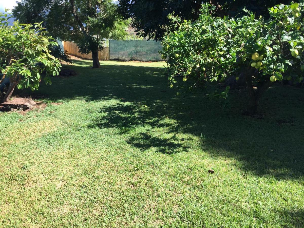 Casitas Las Uvas Y Las Vinas Los Realejos Dış mekan fotoğraf